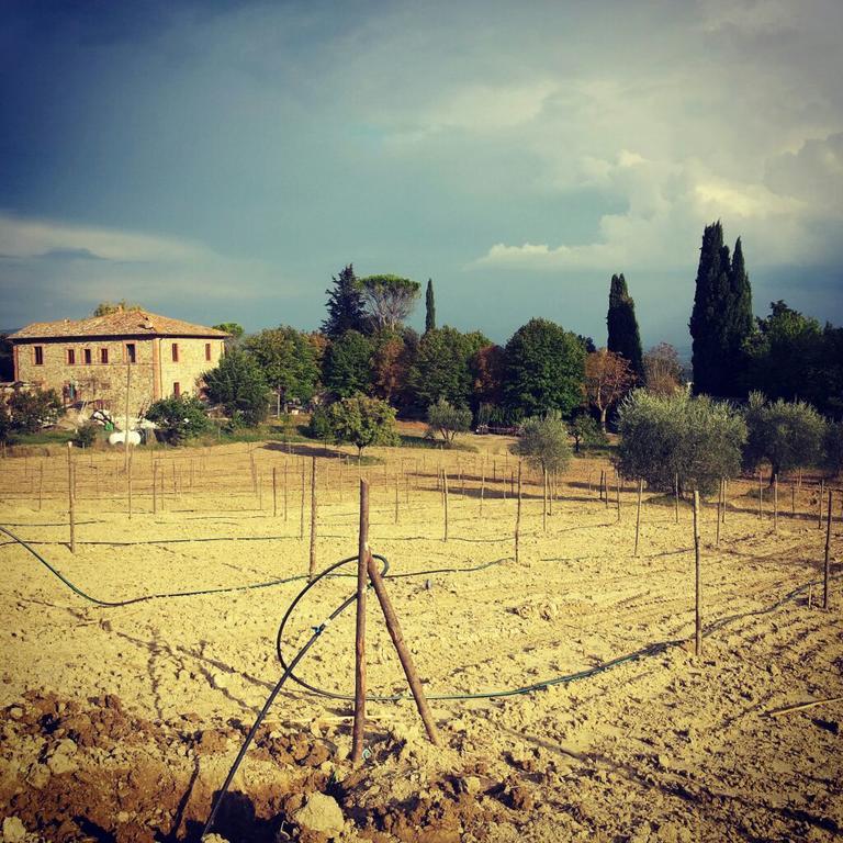 Agriturismo Riparossa Allerona Exterior foto